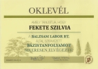 BALZSAM LABOR - Bázistanfolyam 